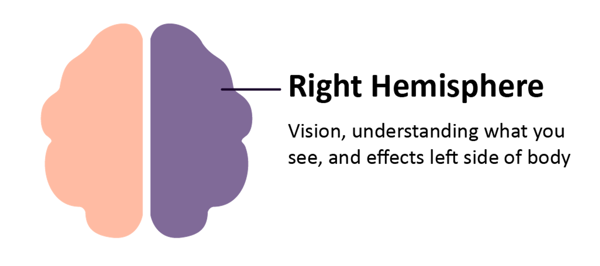 Illustration of a brain highlighting the right hemisphere, showing text that says: Right Hemisphere—vision, understanding what you see, and affects left side of the body.